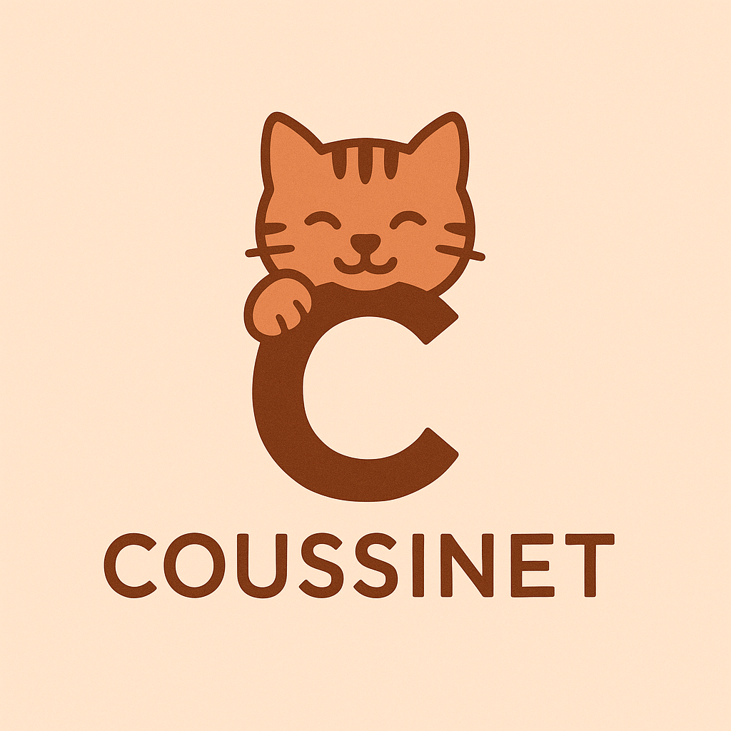 Coussinet Store 